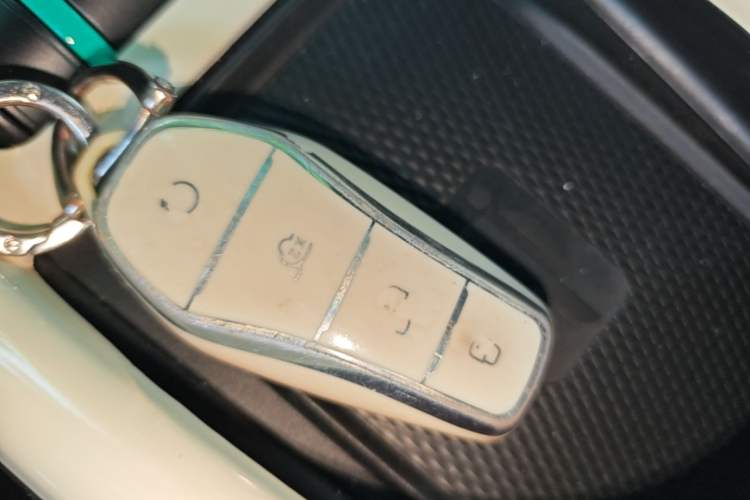 Used BYD Dolphin 2023 401km Knight Edition Interior 1