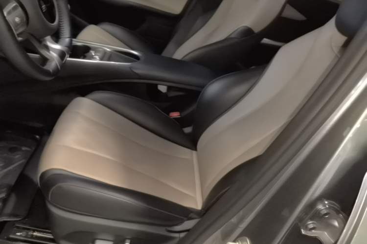 Used BYD Dolphin 2023 420 km Free Version Left Front Seat