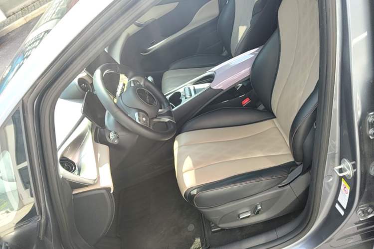 Used BYD Dolphin 2023 420 km Fashion Edition Left Front Seat