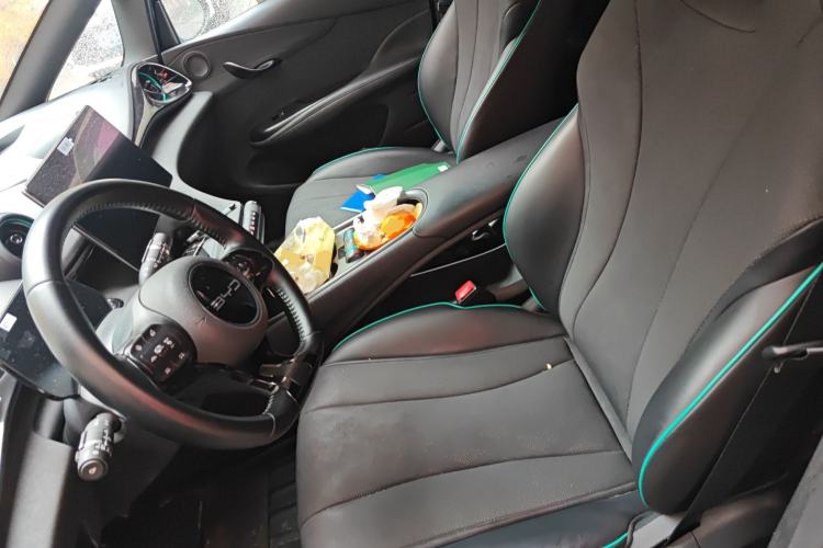 Used BYD Dolphin 2023 401km Knight Edition Left Front Seat