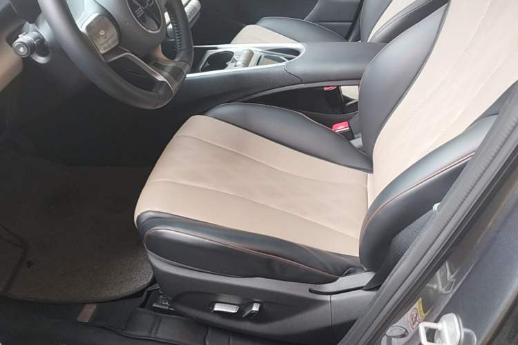 Used BYD Dolphin 2023 420 km Fashion Edition Left Front Seat