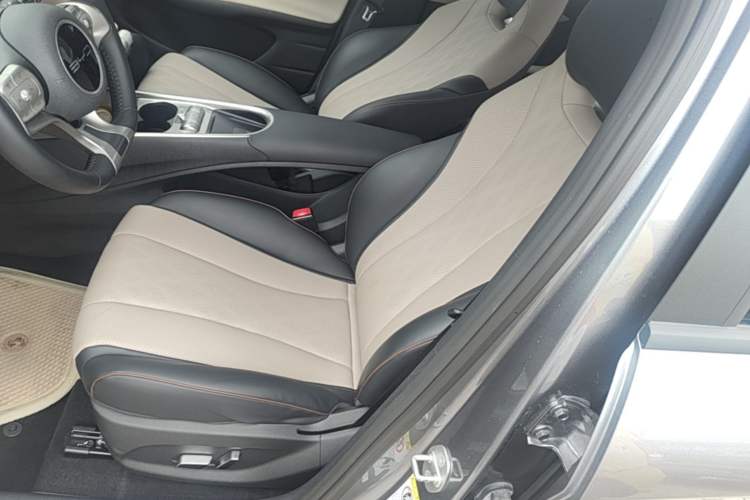 Used BYD Dolphin 2023 420 km Fashion Edition Left Front Seat