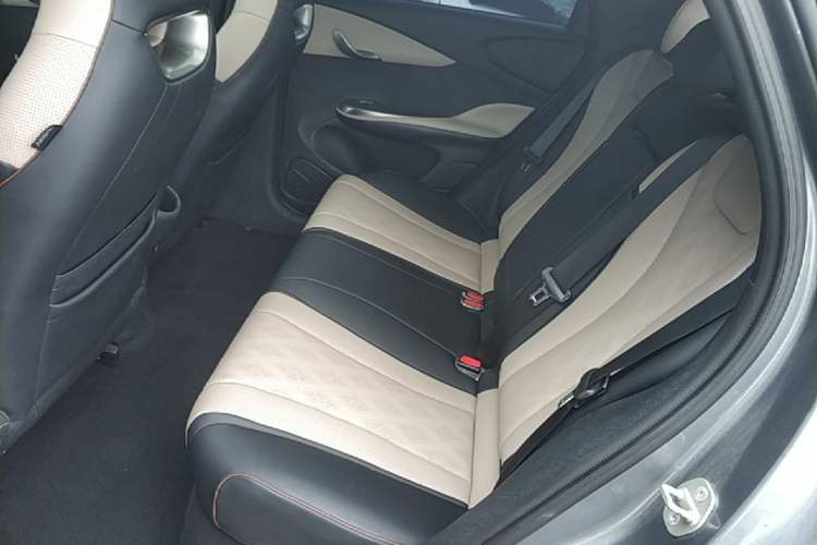 Used BYD Dolphin 2023 420 km Fashion Edition Left Rear Seat
