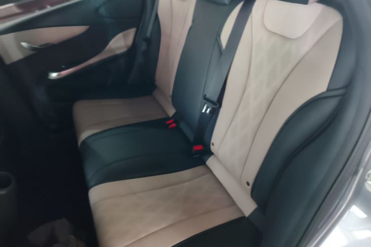 Used BYD Dolphin 2023 420 km Free Version Left Rear Seat