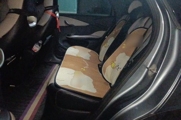 Used BYD Dolphin 2023 420 km Free Version Left Rear Seat