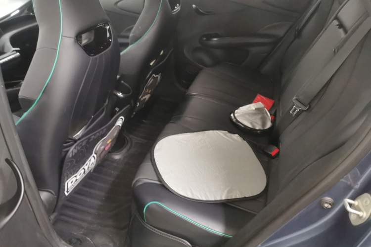 Used BYD Dolphin 2023 401km Knight Edition Left Rear Seat