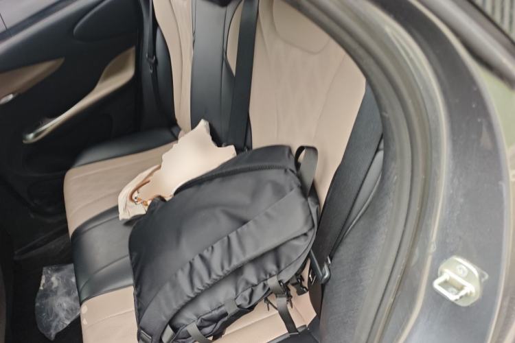 Used BYD Dolphin 2023 420 km Free Version Left Rear Seat