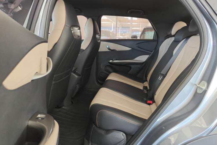 Used BYD Dolphin 2023 420 km Free Version Left Rear Seat