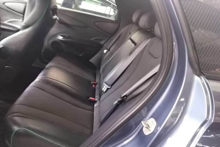 Used BYD Dolphin 2023 401km Knight Edition Left Rear Seat