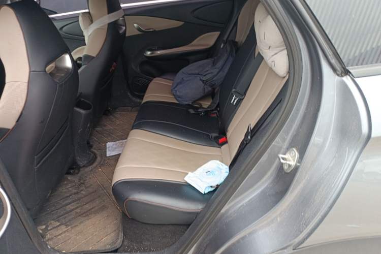 Used BYD Dolphin 2023 420 km Free Version Left Rear Seat