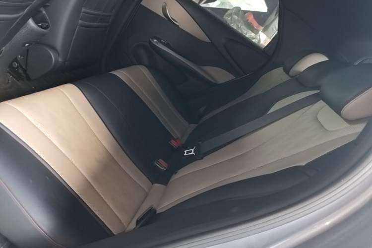 Used BYD Dolphin 2023 420 km Free Version Left Rear Seat