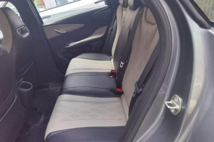Used BYD Dolphin 2023 420 km Free Version Left Rear Seat