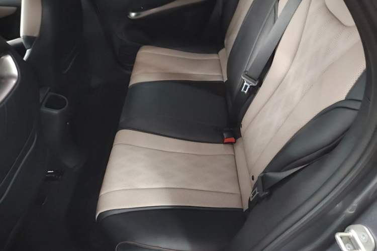 Used BYD Dolphin 2023 420 km Free Version Left Rear Seat