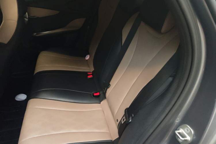 Used BYD Dolphin 2023 420 km Free Version Left Rear Seat
