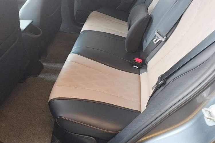 Used BYD Dolphin 2023 420 km Fashion Edition Left Rear Seat