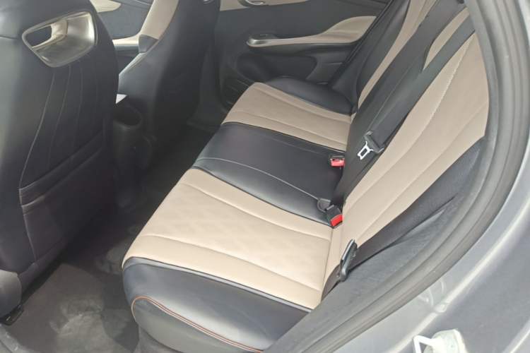 Used BYD Dolphin 2023 420 km Free Version Left Rear Seat