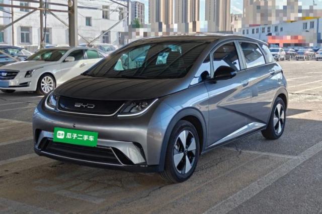 Used BYD Dolphin 2023 420 km Free Version