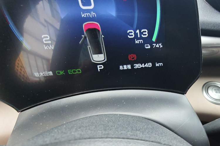 Used BYD Dolphin 2023 420 km Fashion Edition Odometer Close Up