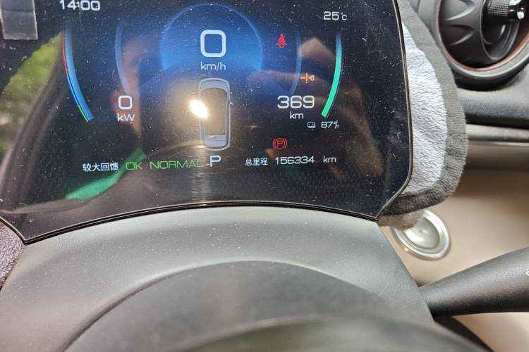 Used BYD Dolphin 2023 420 km Free Version Odometer Close Up