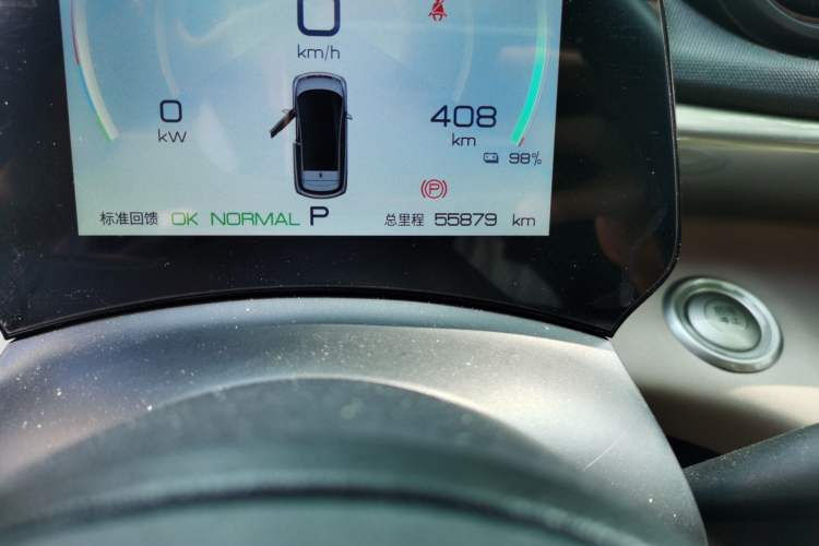 Used BYD Dolphin 2023 420 km Free Version Odometer Close Up