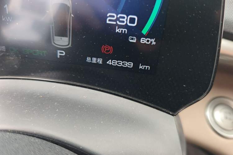Used BYD Dolphin 2023 420 km Fashion Edition Odometer Close Up