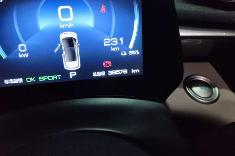Used BYD Dolphin 2023 420 km Fashion Edition Odometer Close Up