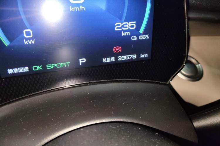 Used BYD Dolphin 2023 420 km Fashion Edition Odometer Close Up