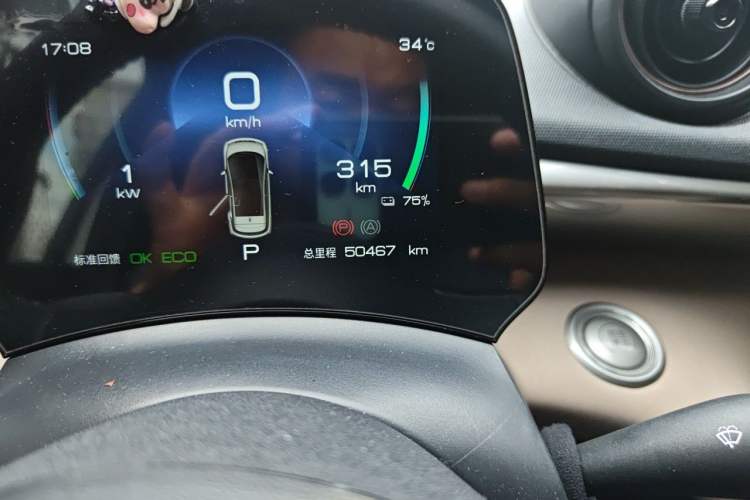 Used BYD Dolphin 2023 420 km Fashion Edition Odometer Close Up