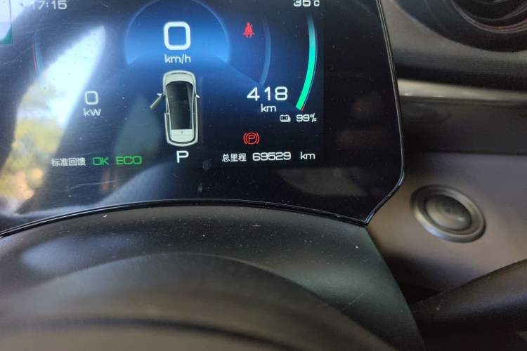 Used BYD Dolphin 2023 420 km Free Version Odometer Close Up