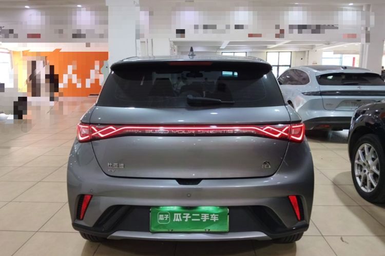 Used BYD Dolphin 2023 420 km Fashion Edition Rear