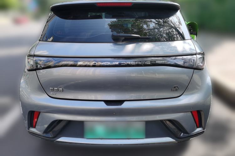 Used BYD Dolphin 2023 420 km Free Version Rear