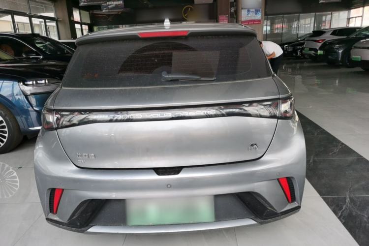 Used BYD Dolphin 2023 420 km Fashion Edition Rear