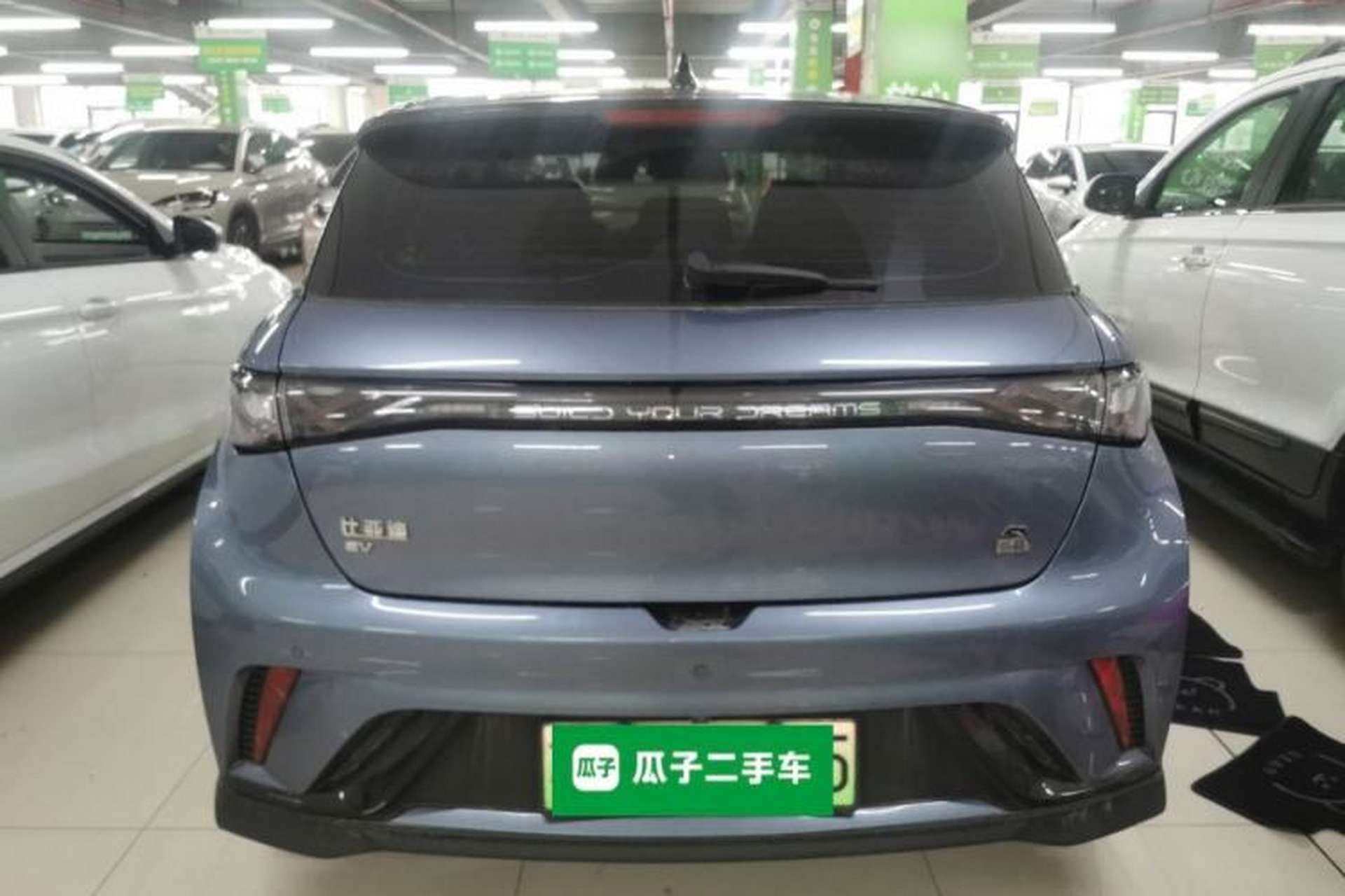 Used BYD Dolphin 2023 401km Knight Edition Rear