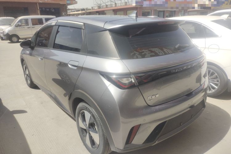 Used BYD Dolphin 2023 420 km Fashion Edition Rear Left 45 Deg