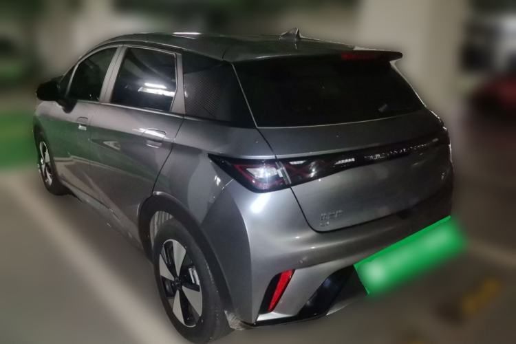 Used BYD Dolphin 2023 420 km Free Version Rear Left 45 Deg
