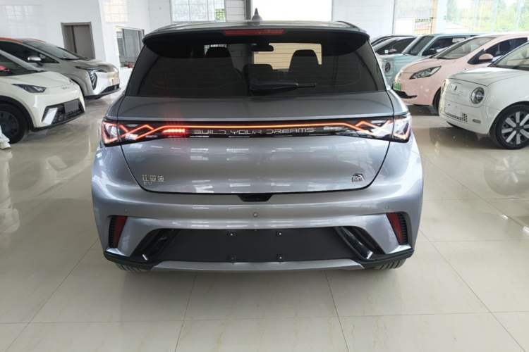 Used BYD Dolphin 2023 420 km Fashion Edition Rear