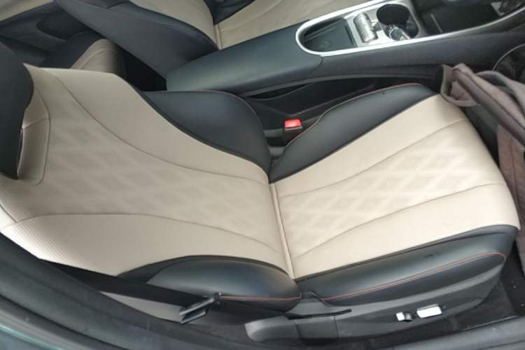 Used BYD Dolphin 2023 420 km Fashion Edition Right Front Seat