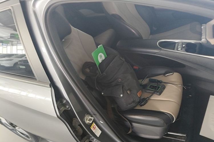 Used BYD Dolphin 2023 420 km Free Version Right Front Seat
