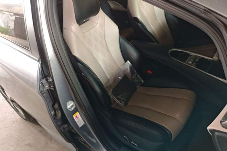 Used BYD Dolphin 2023 420 km Fashion Edition Right Front Seat
