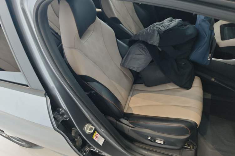 Used BYD Dolphin 2023 420 km Fashion Edition Right Front Seat