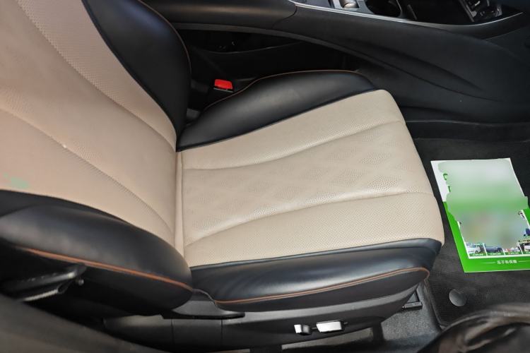 Used BYD Dolphin 2023 420 km Fashion Edition Right Front Seat