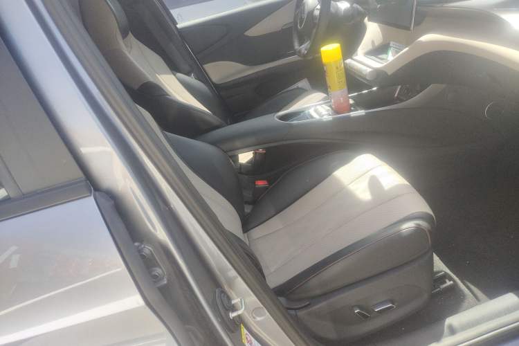 Used BYD Dolphin 2023 420 km Fashion Edition Right Front Seat