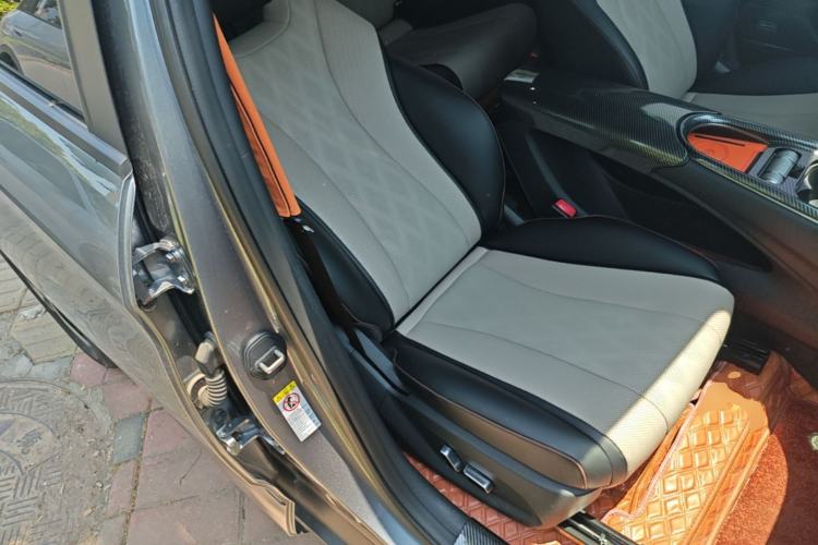 Used BYD Dolphin 2023 420 km Fashion Edition Right Front Seat