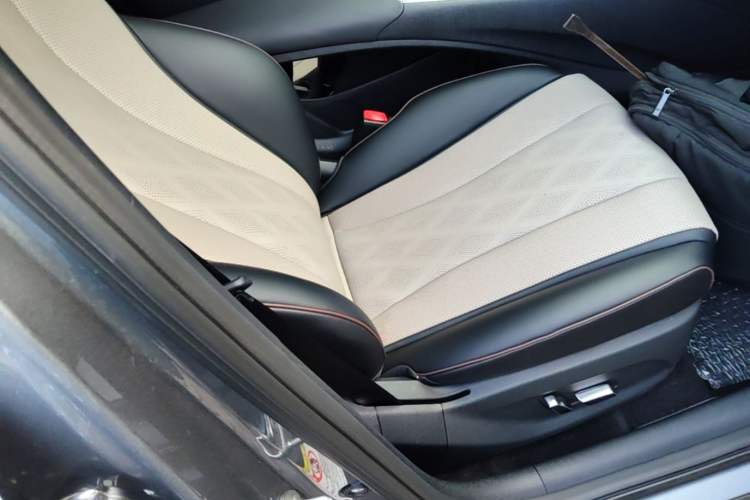 Used BYD Dolphin 2023 420 km Fashion Edition Right Front Seat