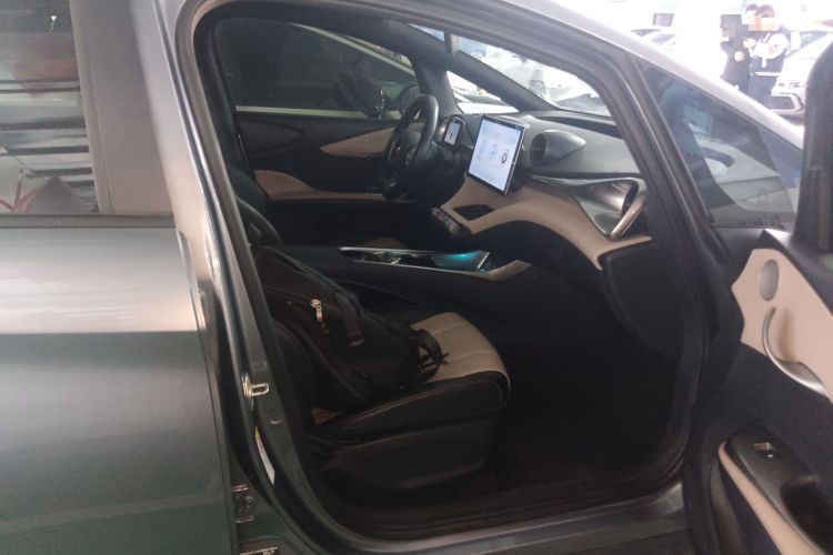 Used BYD Dolphin 2023 420 km Free Version Right Front Seat
