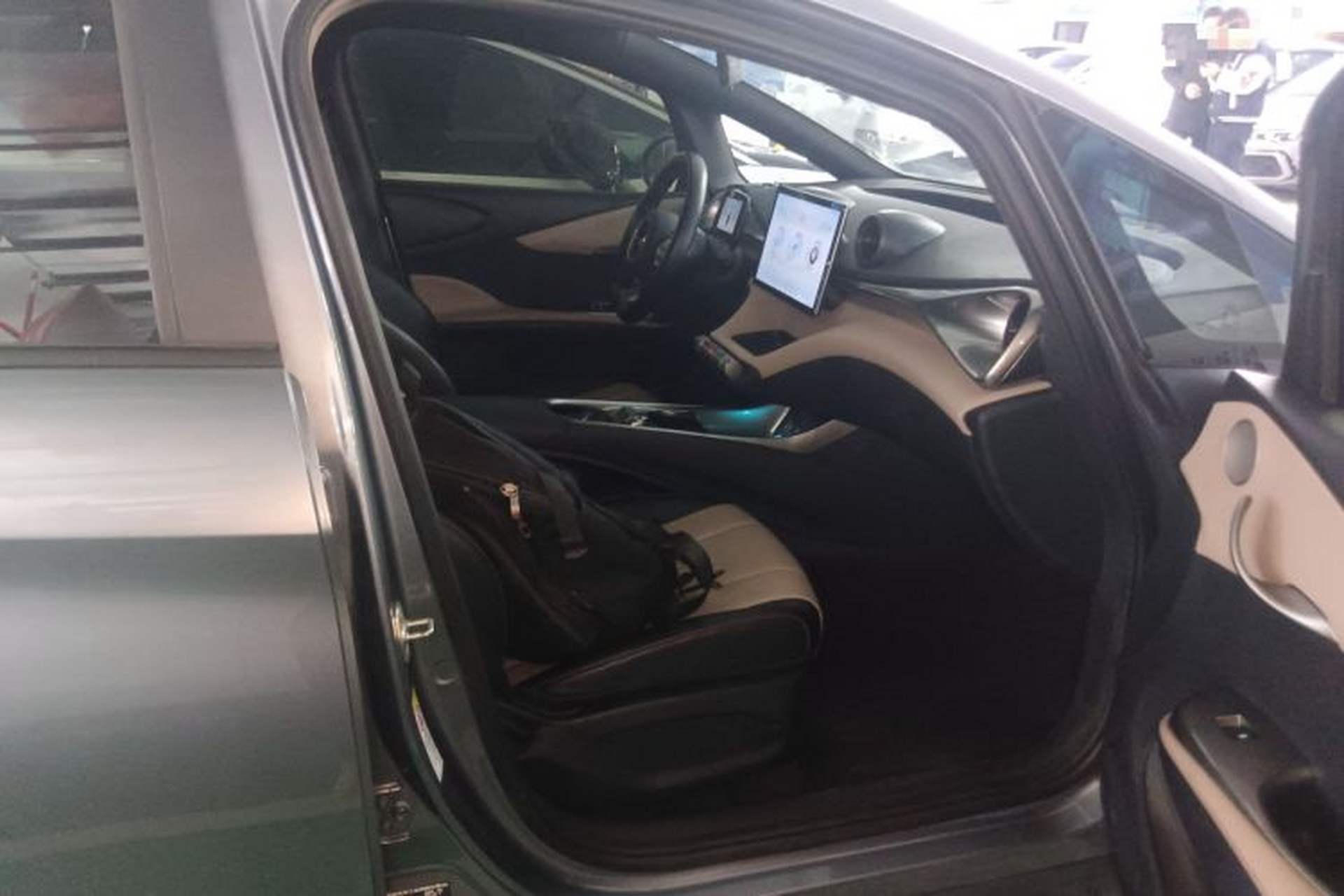 Used BYD Dolphin 2023 420 km Free Version Right Front Seat