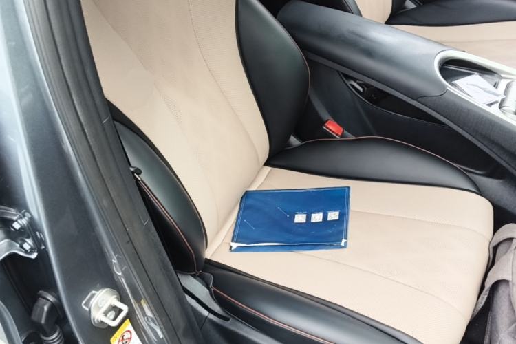 Used BYD Dolphin 2023 420 km Fashion Edition Right Front Seat