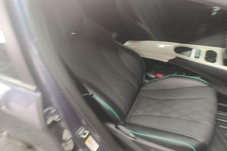 Used BYD Dolphin 2023 401km Knight Edition Right Front Seat