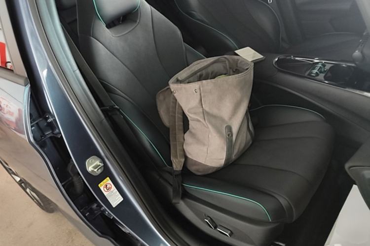 Used BYD Dolphin 2023 401km Knight Edition Right Front Seat