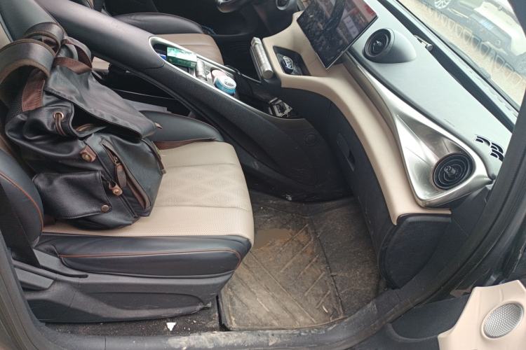 Used BYD Dolphin 2023 420 km Free Version Right Front Seat